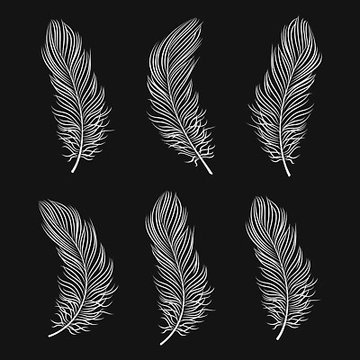 EPS 해외이미지 모양 동물 손 디자인 실루엣 야생동물 선 백그라운드 컨셉 날개 일러스트 자연 조류 잉크 미술 그래픽 장식 세트 펜 검은색 수확 흰색 그룹 낙서 스케치 수집 심볼 깃털 그림 심플 윤곽 솜털 고립 깃털펜 엘리먼트 스타일 벡터 해외202310 해외일러스트 컬러 농업 문화예술 촬영기법 신체부위 필기구 생태계 파일형식