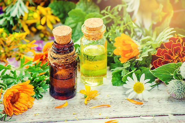 포토 JPG 해외이미지 꽃잎 잎 유리병 사람없음 약초 해외202310 해외포토 식물 꽃 병_용기 풀_식물 파일형식