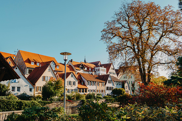포토 JPG 해외이미지 전통 외관 유럽 문화 여행 건축양식 하늘 거리 주택 독일 풍경 사람없음 야외 건물 가로 여름 파란색 도시풍경 컬러풀 햇빛 여행객 정원 도시 센터 중세 역사 타운 이웃 랜드마크 옛날 인기 전국 해외202310 해외포토 건축물 계절 건축 나라 컬러 사람 태양 파일형식