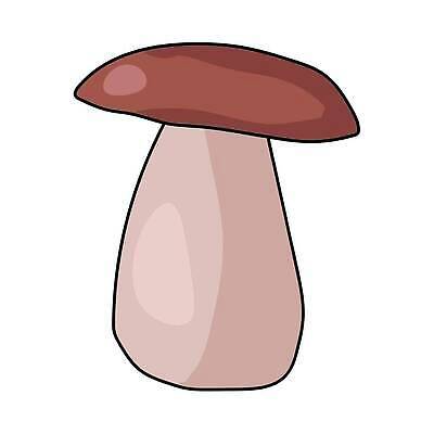 EPS 해외이미지 클립아트 모양 식물 모자 접시 디자인 계절 선 음식 컬러 꽃무늬 다이어트 채소 일러스트 재료 자연 요리 야외 목재 갈색 정원 버섯 가을 흰색 막대기 맛 낙서 숲 왕 만화 심볼 유기농 공상 고립 곰팡이 그물버섯 식용 채식주의자 스타일 벡터 해외202310 해외일러스트 나무 식기 웰빙 잡화 꽃 컨셉 무늬 건강 생태계 채식 파일형식
