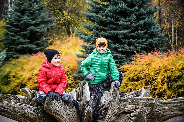 포토 JPG 해외이미지 나무 백인 계절 공원 행복 얼굴 어린이 백그라운드 잎 2 겨울 가족 자연 놀이 함께함 사랑 사람 소년 야외 두명 초록색 뷰티 노란색 맑음 봄 우정 기쁨 할로윈 아기 숲 걸음마 해외202310 해외포토 서양인 식물 공공시설 남자 감정 컬러 컨셉 관계 모션 날씨 신체부위 친구 생태계 파일형식