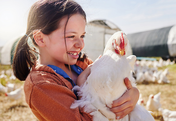 포토 JPG 해외이미지 주간 라이프스타일 여자 어린이 안기 한명 상반신 야외 옆모습 아웃포커스 농장 닭 축산업 농부 전원생활 양계장 소녀한명만 해외202310 해외포토 자연요소 직업 1 산업 뷰포인트 농업 모션 조류 촬영기법 사람 생활 여자한명만 소녀만 파일형식