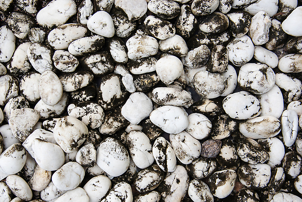 포토 JPG 해외이미지 모양 호수 벽 바다 백그라운드 패턴 자연 벽지 표면 추상 사람없음 장식 물 빛 강 갈색 정원 회색 조약돌 흰색 원형 매끈함 작음 땅 묘사 질감 장면 흙더미 내추럴 땅바닥 지질학 해외202310 해외포토 자연요소 도형 교육 컬러 무늬 바닥 흙 돌_바위 감각 크기 생태계 파일형식 더미