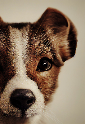 포토 JPG 해외이미지 템플릿 전통 문화 백그라운드 패턴 인터넷 통신 벽지 모바일 추상 휴가 사람없음 스마트폰 핸드폰 세트 컬러풀 뷰티 3D 디지털 스크린 일본 웹 행운 재산 성자 어플리케이션 소프트포커스 수집 심볼 오브젝트 질감 레이아웃 UI 강렬 마케팅 블러 엘리먼트 인터페이스 터치스크린 목업 미니멀 해외202310 해외포토 아시아 종교 컬러 컨셉 무늬 촬영기법 금융 전자제품 스마트기기 디지털합성 파일형식