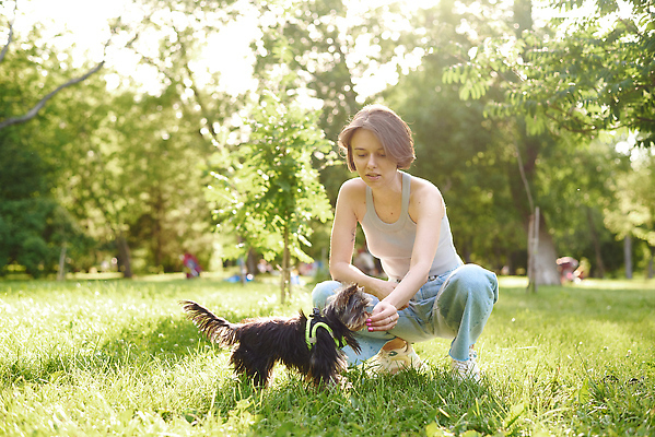포토 JPG 해외이미지 동물 라이프스타일 공원 여자 행복 스포츠 운동화 장난 자연 놀이 사랑 한명 미소 사람 성인 야외 초록색 여름 반려동물 달리기 뷰티 우정 미니어처 흰색 개 강아지 요크셔테리어 테리어 송곳니 신앙심 해외202310 해외포토 1 계절 공공시설 감정 컬러 신발 포유류 모션 표정 생활 친구 모형 치아 생태계 파일형식