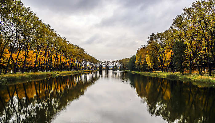 포토 JPG 해외이미지 나무 계절 공원 호수 컬러 여행 백그라운드 단풍 잎 오렌지 자연 하늘 사람없음 야외 빨간색 초록색 물 파란색 컬러풀 뷰티 반사 갈색 노란색 환경 정원 맑음 침묵 산책 연못 황금 숲 러시아 장면 해외202310 해외포토 자연요소 식물 공공시설 유럽 과일 날씨 휴식 소리 생태계 파일형식