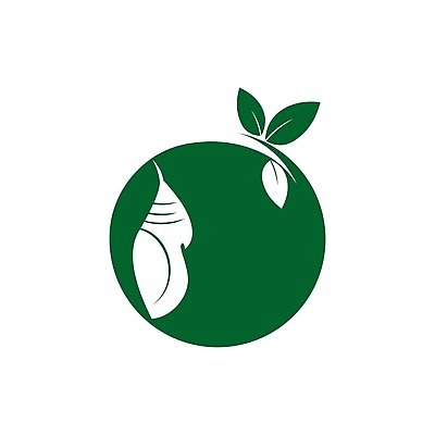 EPS 해외이미지 모양 나무 식물 동물 디자인 나비 곤충 백그라운드 잎 일러스트 자연 추상 병아리 그래픽 초록색 여름 부모 뷰티 성장 아기 진화 변화 심볼 사인 유기농 생물학 순환 애벌레 내추럴 고립 변태 벡터 해외202310 해외일러스트 웰빙 계절 교육 컬러 컨셉 무늬 가족 모션 조류 사람 벌레 소방 생태계 파일형식