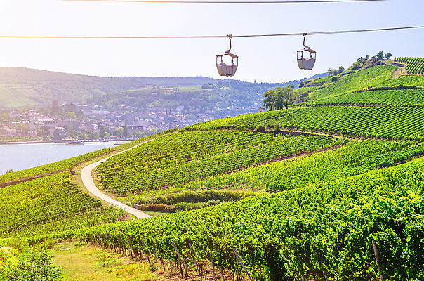포토 JPG 해외이미지 유럽 밧줄 여행 밭 자동차 자연 하늘 산 독일 안테나 풍경 경사 사람없음 야외 초록색 여름 파란색 강 환경 골짜기 계곡 맑음 시골 역사 중앙 정상 언덕 포도밭 지역 타운 양조 해외202310 해외포토 계절 나라 줄 육상교통 컬러 농업 통신 날씨 도시 생태계 파일형식