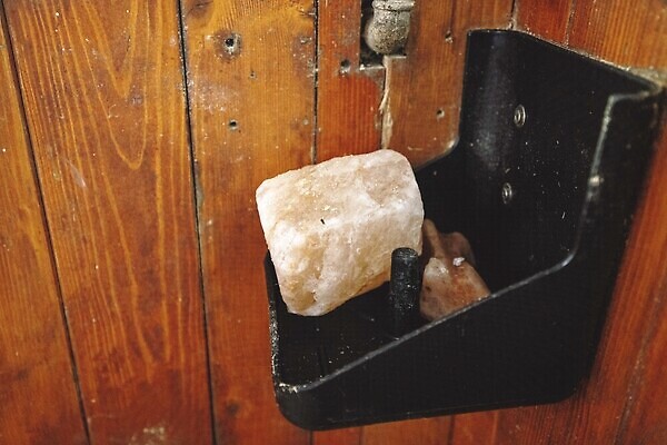 포토 JPG 해외이미지 동물 직업 라이프스타일 여자 행복 스포츠 밭 자연 안내 사람 이벤트 취미 사람없음 야외 여름 뷰티 농장 믿음 강사 경쟁 목장 산책 시골 승마 승차 쇼 과외 기르기 돌봄 라이더 지원 선두 해외202310 해외포토 계절 감정 컨셉 농업 모션 수업 휴식 생활 학습 생태계 파일형식