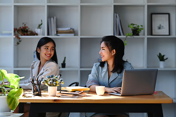 포토 JPG 해외이미지 여자 화초 책장 앉기 상반신 성인 두명 옆모습 노트북 사무실 마주보기 공책 비즈니스우먼 스마트 책상 연필꽂이 성인여자만 해외202310 해외포토 식물 뷰포인트 가구 컨셉 비즈니스 모션 문구용품 사람 전자제품 직장인 여자만 성인만 파일형식