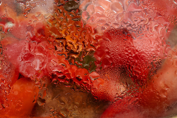 포토 JPG 해외이미지 모양 물결 컬러 채소 벽지 표면 날씨 추상 주택 감자 요리 사람없음 빛 주방 거품 회색 젖음 흐름 덮개 뚜껑 기구 물방울 뜨거움 투명 액체 떨어짐 기름 냄비 매끈함 소프트포커스 수증기 수분 시원함 빗방울 순수 준비 질감 분무기 광택 온도 점심식사 영양분 유체 해외202310 해외포토 음식 컨셉 무늬 촬영기법 건물 식사 감각 비_날씨 솥 파일형식