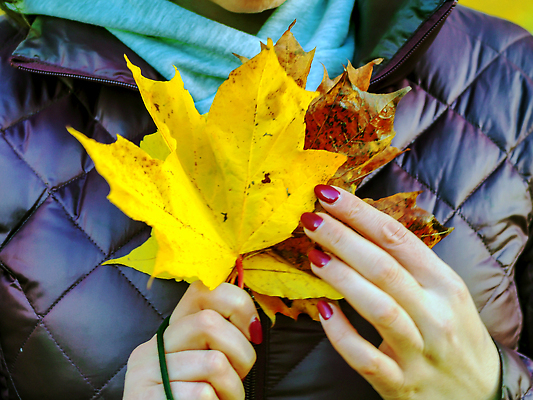포토 JPG 해외이미지 백인 템플릿 손 계절 여자 행복 얼굴 컬러 꽃다발 컨셉 잎 오렌지 자연 주택 사람 성인 사람없음 빨간색 초록색 빛 컬러풀 태양 뷰티 노란색 유행 맑음 고요 산책 잡기 황금 떨어짐 시원함 9월 11월 수집 질감 기회 추수감사절 10월 해외202310 해외포토 자연요소 서양인 식물 꽃 감정 기독교 과일 모션 날씨 휴식 건물 신체부위 날짜 생태계 파일형식