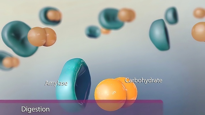 포토 JPG 해외이미지 음식 과학 다이어트 일러스트 해부 건강 사람 사람없음 내부 약 노란색 3D 고통 터치 방어 오르간 바이러스 지저분함 질병 먹기 뇌 유기농 생물학 시스템 기생충 식민지 유전 해로움 해외202310 해외포토 웰빙 교육 감정 컬러 컨셉 의학 모션 어류 감각 건반악기 디지털합성 파일형식