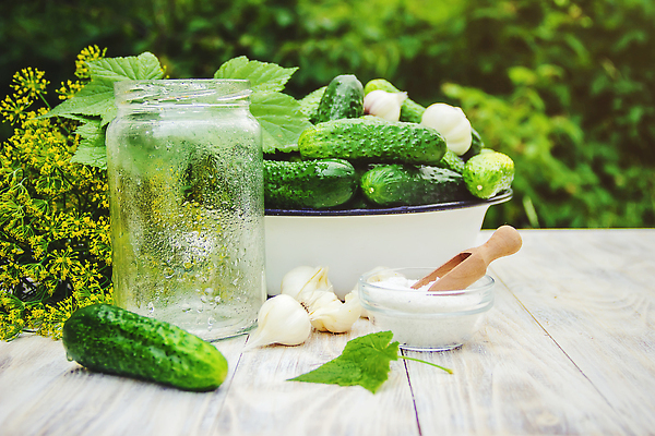 포토 JPG 해외이미지 배너 음식 백그라운드 겨울 채소 자연 열쇠 오이 주택 마늘 관리 사람없음 가로 초록색 상자 수확 뚜껑 신선 항아리 조미료 보호 향신료 피클 소금 후추 통조림 흙더미 딜 숙성 오이피클 절임 짠맛 카피스페이스 해외202310 해외포토 계절 컬러 컨셉 농업 건물 흙 공백 도자기 맛 생태계 향미료 파일형식 더미