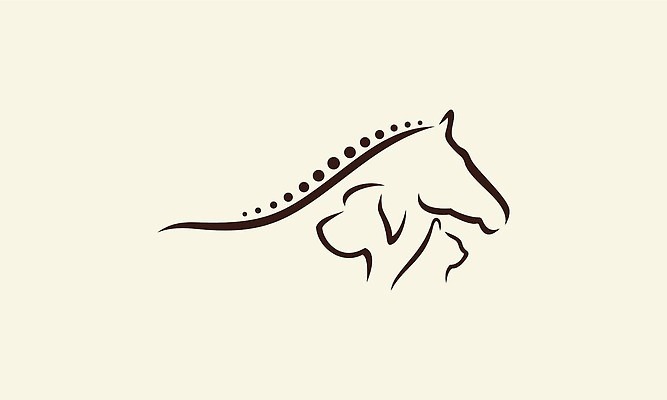 EPS 해외이미지 동물 디자인 실루엣 일러스트 회사 자연 추상 병원 사랑 미술 그래픽 반려동물 상점 고양이 개 강아지 윤곽 수의사 돌봄 벡터 해외202310 해외일러스트 감정 무늬 비즈니스 포유류 의학 모션 문화예술 촬영기법 의사 생태계 파일형식