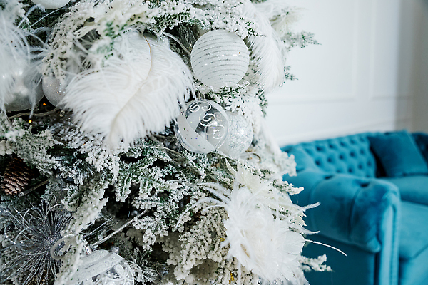 포토 JPG 해외이미지 나무 디자인 계절 행복 별 크리스마스 겨울 공 휴가 불꽃 새로움 기념 선물 사람없음 장식 빛 얼음 축제 회색 달력 흰색 나뭇가지 축하 인사 소나무 신용카드 은색 12월 크리스마스이브 해외202310 해외포토 자연요소 식물 기념일 감정 컬러 컨셉 불 금융 예절 날짜 파일형식