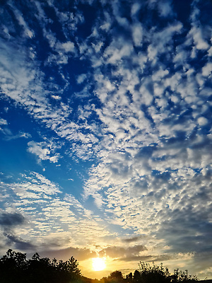 포토 JPG 해외이미지 구름 컬러 백그라운드 자연 하늘 아침 날씨 파노라마 풍경 사람없음 야외 여름 파란색 빛 햇빛 태양 뷰티 우주 환경 맑음 새벽 흰색 신선 분위기 저녁 장면 천국 솜털 내추럴 오존 수평선 해외202310 해외포토 주간 자연요소 계절 컨셉 촬영기법 야간 생태계 파일형식