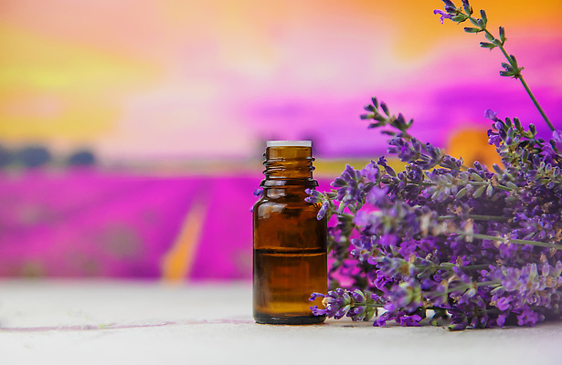 포토 JPG 해외이미지 사람없음 보라색 라벤더 라벤더오일 해외202310 해외포토 꽃 컬러 오일_화장품 허브 파일형식