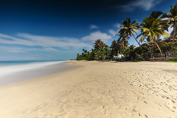포토 JPG 해외이미지 모래 바다 섬 여행 백그라운드 컨셉 자연 하늘 휴가 손바닥 풍경 사람없음 물 여름 파란색 야자수 뷰티 맑음 전원 탈출 휴양지 스리랑카 이국적 터키석 파라다이스 비어있는 해외202310 해외포토 자연요소 나무 손 계절 아시아 컬러 날씨 장소 전기에너지 보석 생태계 파일형식