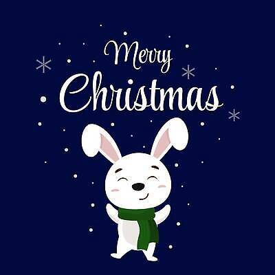 EPS 해외이미지 캐릭터 계절 야생동물 크리스마스 겨울 일러스트 휴가 새로움 한국 동양인 그래픽 장식 파란색 축하 토끼 인사 신용카드 눈송이 연도 심볼 동물상 벡터 해외202310 해외일러스트 일러캐릭터 동물 기념일 아시아 컬러 컨셉 포유류 눈_날씨 인종 금융 반려동물 조형물 예절 파일형식