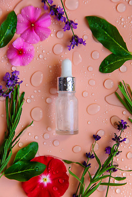 포토 JPG 해외이미지 꽃 분홍색 백그라운드 잎 자연 사람없음 아웃포커스 뷰티 신선 오일 수분 내추럴 해외202310 해외포토 식물 음식 컬러 촬영기법 화장품 생태계 파일형식