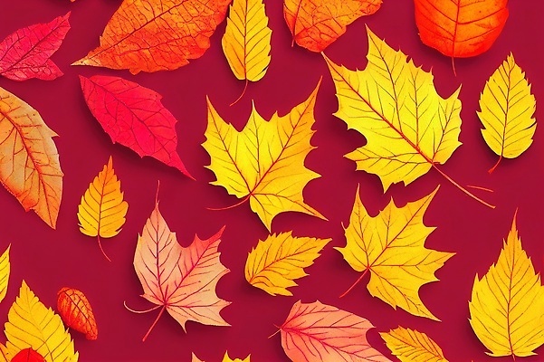 포토 JPG 해외이미지 나무 식물 디자인 계절 컬러 백그라운드 단풍 잎 패턴 오렌지 일러스트 자연 추상 프레임 건조 기술 사람없음 장식 빨간색 초록색 컬러풀 갈색 노란색 활발 흰색 그룹 황금 숲 큼 11월 유기농 각도 추수감사절 10월 고립 엘리먼트 옛날 국경 해외202310 해외일러스트 웰빙 기독교 컨셉 무늬 과일 날짜 크기 생태계 파일형식