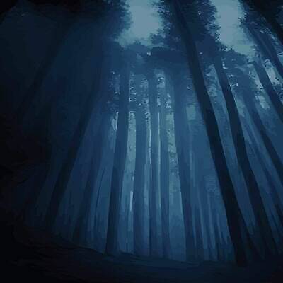 EPS 해외이미지 나무 디자인 공원 실루엣 여행 백그라운드 겨울 일러스트 자연 하늘 동화 추상 휴가 야외 파란색 빛 뷰티 검은색 어둠 새벽 꿈 할로윈 안개 신선 분위기 야간 숲 만화 달빛 언덕 그림 공상 마법 뿌연 수평선 벡터 해외202310 해외일러스트 자연요소 식물 계절 공공시설 컬러 컨셉 무늬 날씨 촬영기법 달 생태계 파일형식