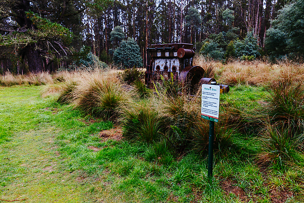 포토 JPG 해외이미지 나무 식물 도로 여행 휴가 풍경 사람없음 초록색 물 여름 기계 젖음 추위 안개 호주 숲 사인 굴곡 양치류 해외202310 해외포토 자연요소 계절 길 컬러 교통시설 날씨 오세아니아 파일형식