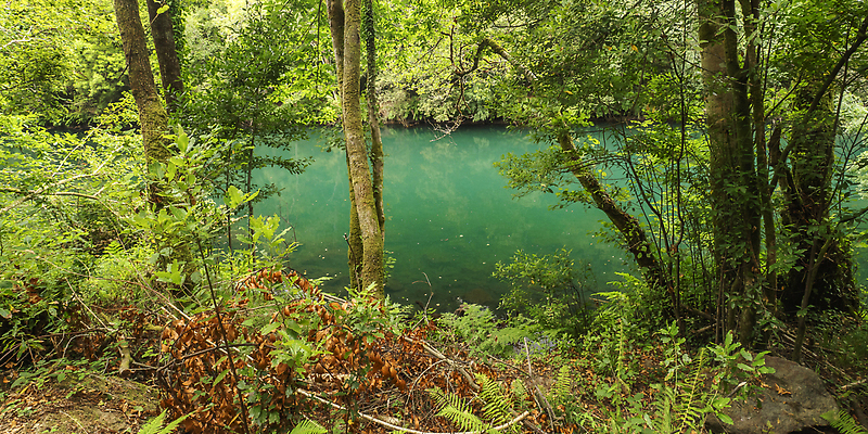 포토 JPG 해외이미지 나무 식물 계절 공원 야생동물 자연 휴식 풍경 사람없음 야외 물 강 환경 계곡 침묵 고요 다양 흐름 전원 시골 개울 스페인 숲 열대우림 환경보전 생태계 생물학 기후변화 민물 삼림지대 해외202310 해외포토 자연요소 동물 공공시설 교육 유럽 다수 컨셉 날씨 소리 변화 전기에너지 사회이슈 파일형식