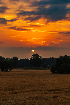 포토 JPG 해외이미지 나무 구름 계절 공원 유럽 도로 길 섬 여행 밭 자연 하늘 풍경 사람없음 야외 초록색 물 여름 파란색 빛 강 태양 뷰티 반사 일출 환경 침묵 숲 장노출 폴란드 내추럴 브로츠와프 해외202310 해외포토 자연요소 식물 공공시설 나라 컬러 농업 교통시설 촬영기법 노을 소리 생태계 파일형식