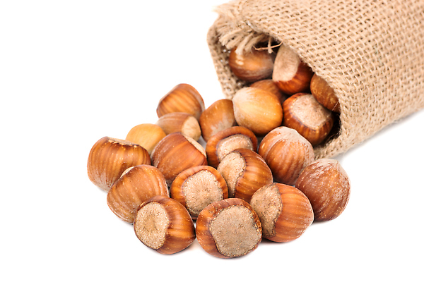 포토 JPG 해외이미지 음식 백그라운드 다이어트 가방 과일 재료 건조 건강 씨앗 사람없음 갈색 견과류 껍질 흰색 신선 그룹 숲 묘사 오브젝트 유기농 알맹이 날것 흙더미 내추럴 개암나무 숙성 채식주의자 개암 비건 해외202310 해외포토 나무 식물 웰빙 잡화 열매 컬러 흙 채식 파일형식 더미