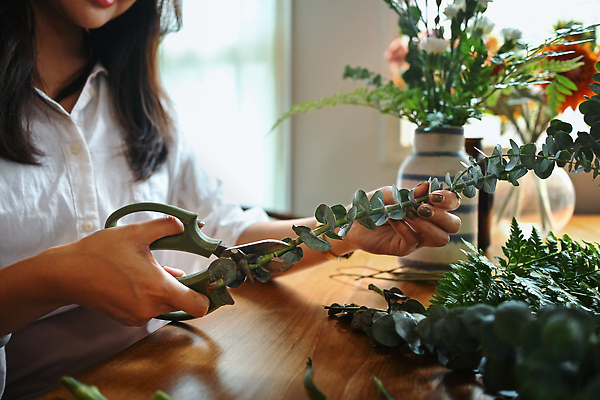 포토 JPG 해외이미지 여자 잎 실내 한명 동양인 상반신 성인 꽃병 자르기 원예 가위질 다듬기 성인여자한명만 해외202310 해외포토 식물 1 꽃 모션 가위_도구 사람 인종 취미 내부 여자한명만 성인여자만 파일형식