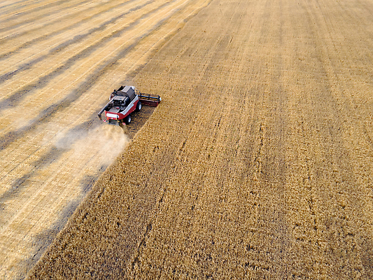 포토 JPG 해외이미지 직업 지구 밭 농업 옥수수 씨앗 사람없음 농장 농경지 농사 기계 목장 모임 수확 성장 칼날 재산 황금 제조 농부 혼합 결합 낟알 땅 시리얼 밀 알맹이 트랙터 로딩 밭일 조감도 공급 세련 귀리 해외202310 해외포토 식물 산업 음식 곡류 금융 농기계 특수차량 파일형식