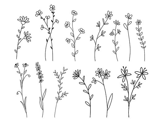 EPS 해외이미지 식물 꽃잎 꽃 선 줄기 잎 꽃무늬 일러스트 자연 추상 휴가 선물 미술 세트 봄 낭만 들꽃 벚꽃 축하 생일 낙서 심플 엽서 윤곽 손그림 고립 벡터 해외202310 해외일러스트 계절 기념일 컨셉 무늬 문화예술 편지 생태계 파일형식