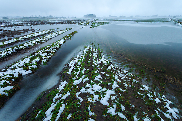 포토 JPG 해외이미지 식물 계절 도로 길 호수 겨울 밭 자연 하늘 날씨 풍경 사람없음 야외 초록색 물 마을 얼음 흙 봄 젖음 추위 흰색 시골 녹음 큼 홍수 웅덩이 먼지 진흙 내추럴 땅바닥 방법 밭일 어려움 재앙 수평선 해외202310 해외포토 자연요소 컬러 농업 교통시설 바닥 기록 크기 자연재해 생태계 파일형식