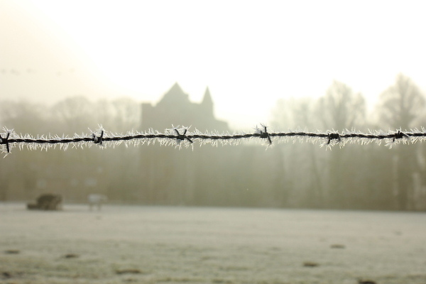 포토 JPG 해외이미지 겨울 사람없음 울타리 금속 냉동 얼음 추위 흰색 서리 철사 해외202310 해외포토 자연요소 계절 컬러 재질 담장 파일형식