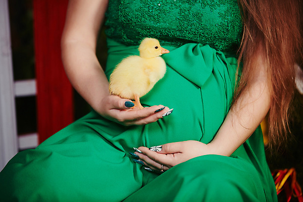 포토 JPG 해외이미지 동물 라이프스타일 행복 백그라운드 자연 조류 부활절 오리 사람 사람없음 뷰티 노란색 흰색 아기 잡기 작음 해외202310 해외포토 기념일 감정 컬러 모션 생활 크기 생태계 파일형식