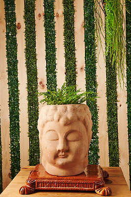 포토 JPG 해외이미지 화분 화초 사람없음 원예 해외202310 해외포토 식물 취미 파일형식