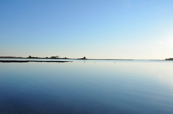 포토 JPG 해외이미지 식물 호수 바다 자연 하늘 잔디 사람없음 야외 물 강 갈색 연못 습지 해외202310 해외포토 자연요소 컬러 생태계 파일형식