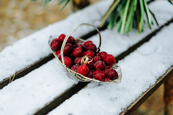포토 JPG 해외이미지 디자인 꽃잎 꽃 음식 분홍색 꽃다발 결혼 백그라운드 컨셉 크리스마스 겨울 꽃무늬 데이트 자연 탁자 휴가 발렌타인데이 선물 사랑 이벤트 사람없음 장식 빨간색 뷰티 장미 냉동 얼음 추위 흰색 축하 인사 반지 변화 떨어짐 먹기 오브젝트 서리 엽서 열정 제설기 해외202310 해외포토 자연요소 식물 계절 기념일 감정 컬러 가구 무늬 장신구 모션 데이이벤트 예절 편지 생태계 제설 파일형식