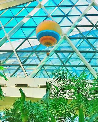 포토 JPG 해외이미지 나무 식물 선 하늘색 건축양식 자연 조명 사람없음 초록색 물 파란색 빛 노란색 천장 해외202310 해외포토 자연요소 건축 컬러 생태계 파일형식