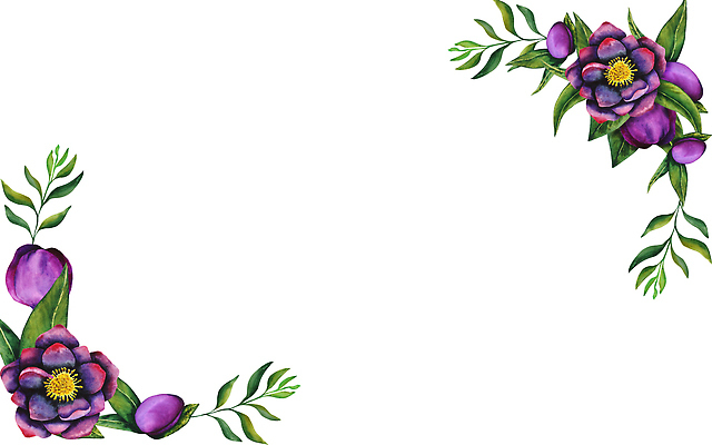 포토 JPG 해외이미지 식물 디자인 배너 꽃잎 꽃 종이 백그라운드 잎 꽃무늬 일러스트 자연 벽지 추상 프레임 미술 사람없음 그래픽 장식 정원 보라색 검은색 봄 수확 직물 신용카드 개화 스케치 그림 질감 손그림 시트 자두 내추럴 고립 엘리먼트 해외202310 해외일러스트 계절 컬러 무늬 농업 과일 문화예술 금융 생태계 파일형식