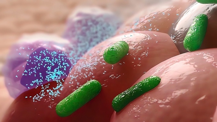 포토 JPG 해외이미지 과학 생물 세포 건강 현미경 실험 사람 사람없음 약 3D 고통 열 호흡기관 벌레 질병 생물학 감염 미생물 박테리아 백신 예방주사 전염병 해외202310 해외포토 교육 감정 곤충 의학 실험기구 주사기 장기_의학 디지털합성 예방 파일형식