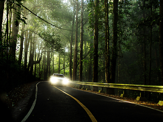 포토 JPG 해외이미지 모델 디자인 도로 비즈니스 교통시설 자동차 자연 미래 새로움 독일 사람없음 야외 초록색 뷰티 운전 도시 고급 우아함 속도 인도네시아 자동 바이에른 스타일 해외202310 해외포토 유럽 아시아 길 육상교통 컬러 교통 컨셉 모션 시설 생태계 파일형식