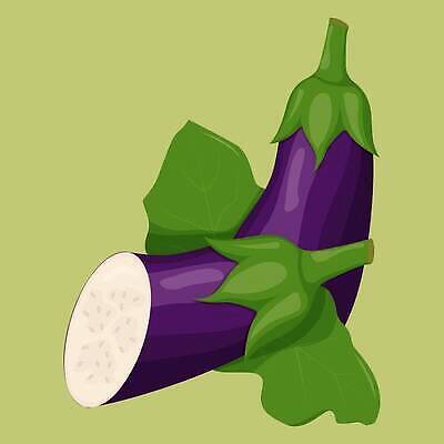 EPS 해외이미지 디자인 배너 음식 백그라운드 잎 다이어트 채소 과일 일러스트 자연 가지 추상 디저트 실내 건강 미술 씨앗 여름 주스 신선 플랫 달콤 맛 만화 먹기 심볼 그림 에코 유기농 슬라이스 비타민 내추럴 고립 숙성 채식주의자 벡터 미니멀리스트 비건 맛있는 해외202310 해외일러스트 식물 웰빙 계절 음료 컨셉 무늬 모션 문화예술 내부 환경 생태계 채식 영양소 파일형식