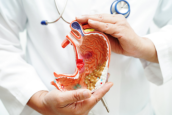 포토 JPG 해외이미지 손 건강 병원 한명 들기 사람 상반신 성인 모형 의사 질병 위장 위장질환 성인한명만 해외202310 해외포토 1 의학 모션 신체부위 의료진 장기_의학 성인만 파일형식