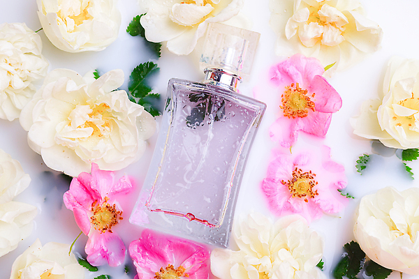 포토 JPG 해외이미지 여자 꽃 분홍색 백그라운드 꽃무늬 자연 유리 건강 사람없음 목재 치료 물 뷰티 약 장미 유행 스파 화장품 신선 화려 액체 고급 우아함 기름 상품 허브 향수 향기 냄새 아로마 분무기 향 아로마테라피 내추럴 에센스 스타일 해외202310 해외포토 자연요소 나무 식물 음식 컬러 컨셉 무늬 재료 의학 재질 사람 생태계 테라피 파일형식