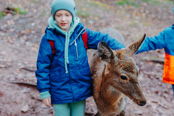 포토 JPG 해외이미지 동물 백인 라이프스타일 공원 남자 행복 감정 야생동물 어린이 관계 자연 동물원 한명 사람 소년 야외 반려동물 뷰티 농장 기쁨 아기 우아함 숲 먹이 흥분 긍정 내추럴 수유 아기사슴 해외202310 해외포토 서양인 1 공공시설 새끼 컨셉 농업 사슴 생활 생태계 파일형식