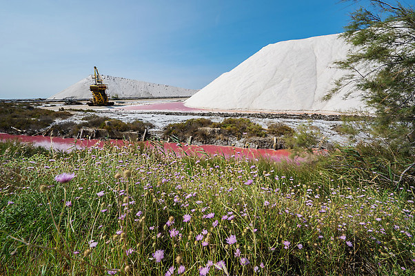 포토 JPG 해외이미지 호수 모래 분홍색 컬러 백그라운드 오렌지 자연 휴가 안테나 해변 사람없음 야외 빨간색 물 파란색 뷰티 사막 연못 중세 역사 소금 내추럴 수평선 해외202310 해외포토 자연요소 바다 과일 통신 생태계 파일형식
