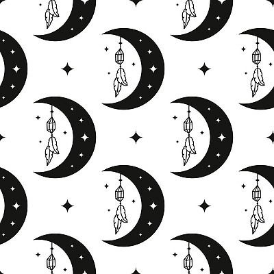 EPS 해외이미지 패턴 일러스트 사람없음 반짝임 달 깃털 점성술 마법 드림캐쳐 환상 해외202310 해외일러스트 자연요소 컨셉 무늬 모션 장식 파일형식 벡터